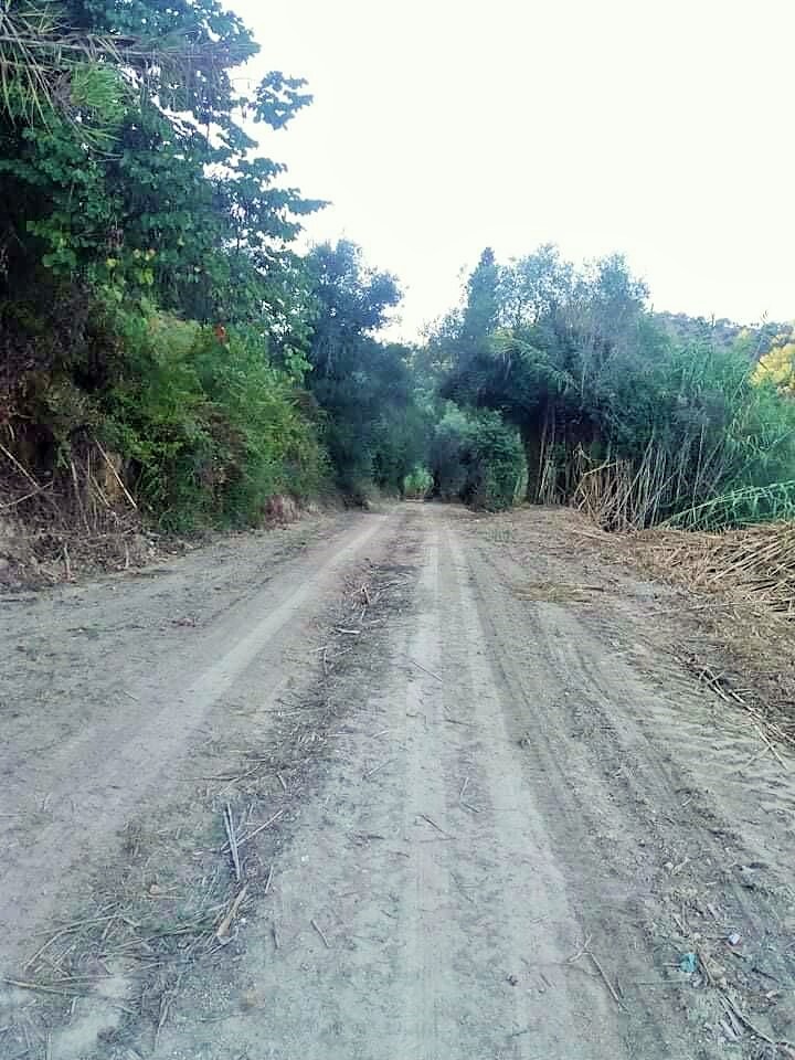 Земля на Корфу, Греция, 11 450 м² - фото 13