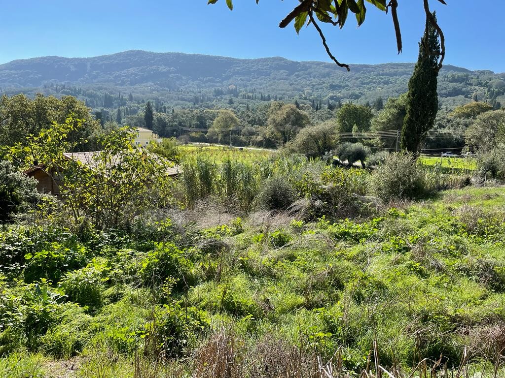 Земля на Корфу, Греция, 5 500 м² - фото 13