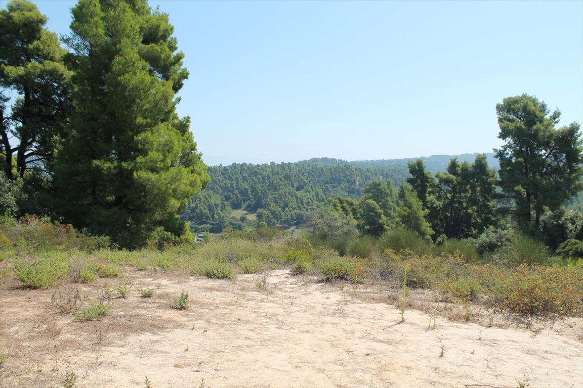 Земля на Кассандре, Греция, 13 000 м² - фото 13