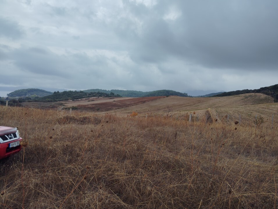 Земля на Халкидиках, Греция, 5 000 м² - фото 13