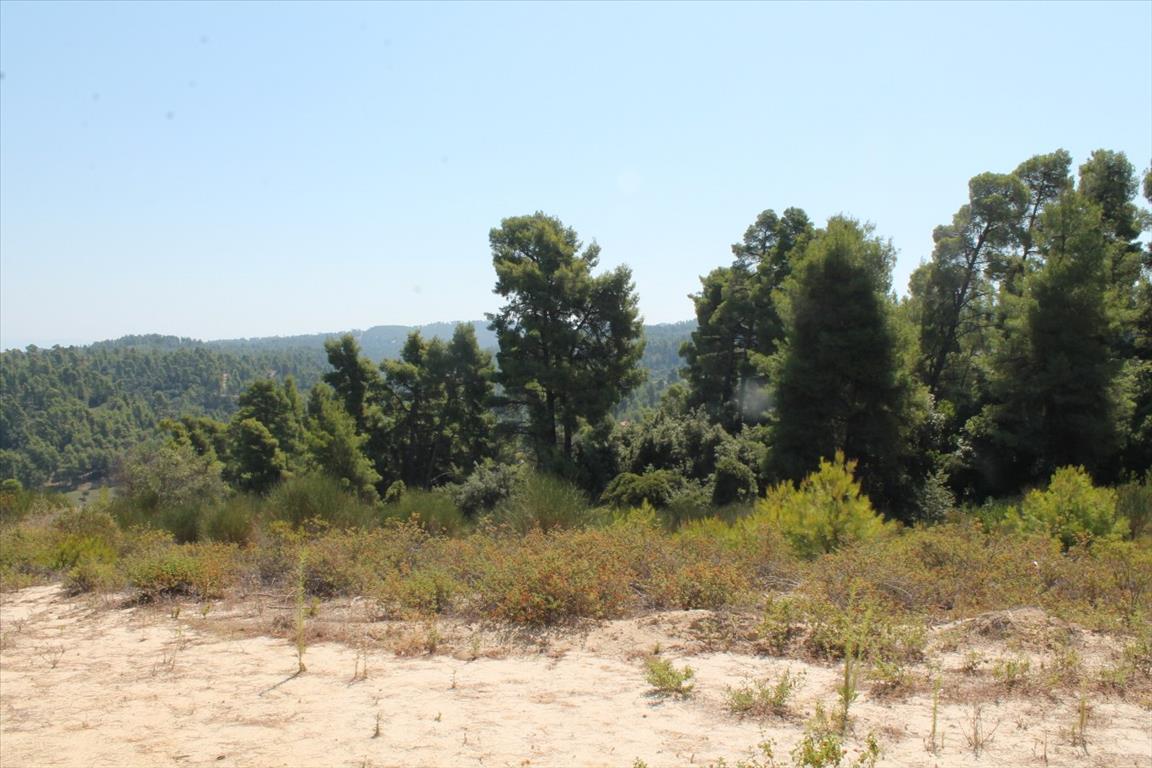 Земля на Кассандре, Греция, 13 000 м² - фото 14