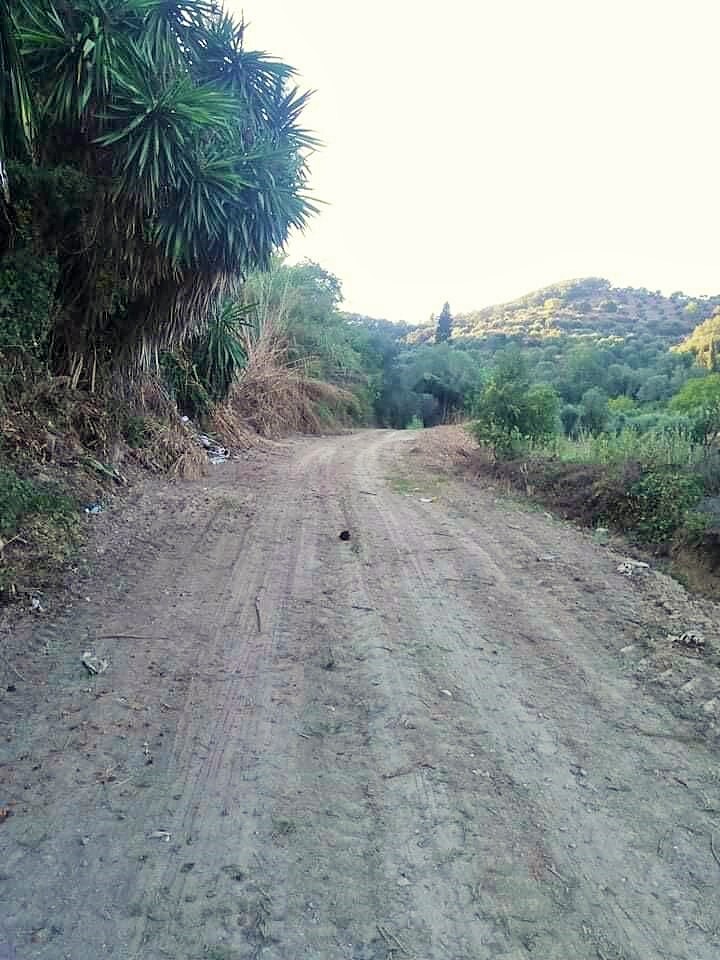 Земля на Корфу, Греция, 11 450 м² - фото 14