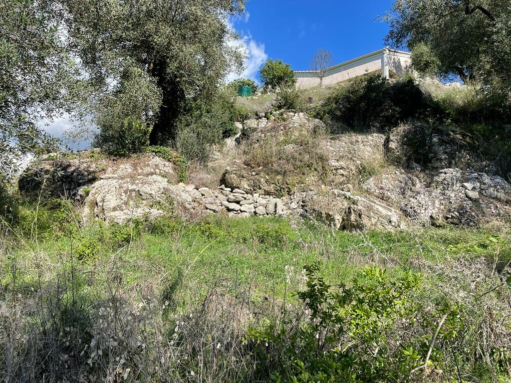 Земля на Корфу, Греция, 5 500 м² - фото 14