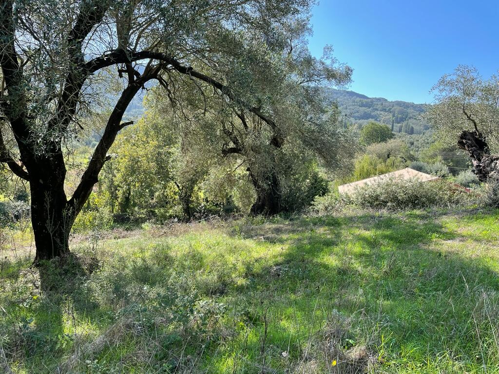 Земля на Корфу, Греция, 5 500 м² - фото 15