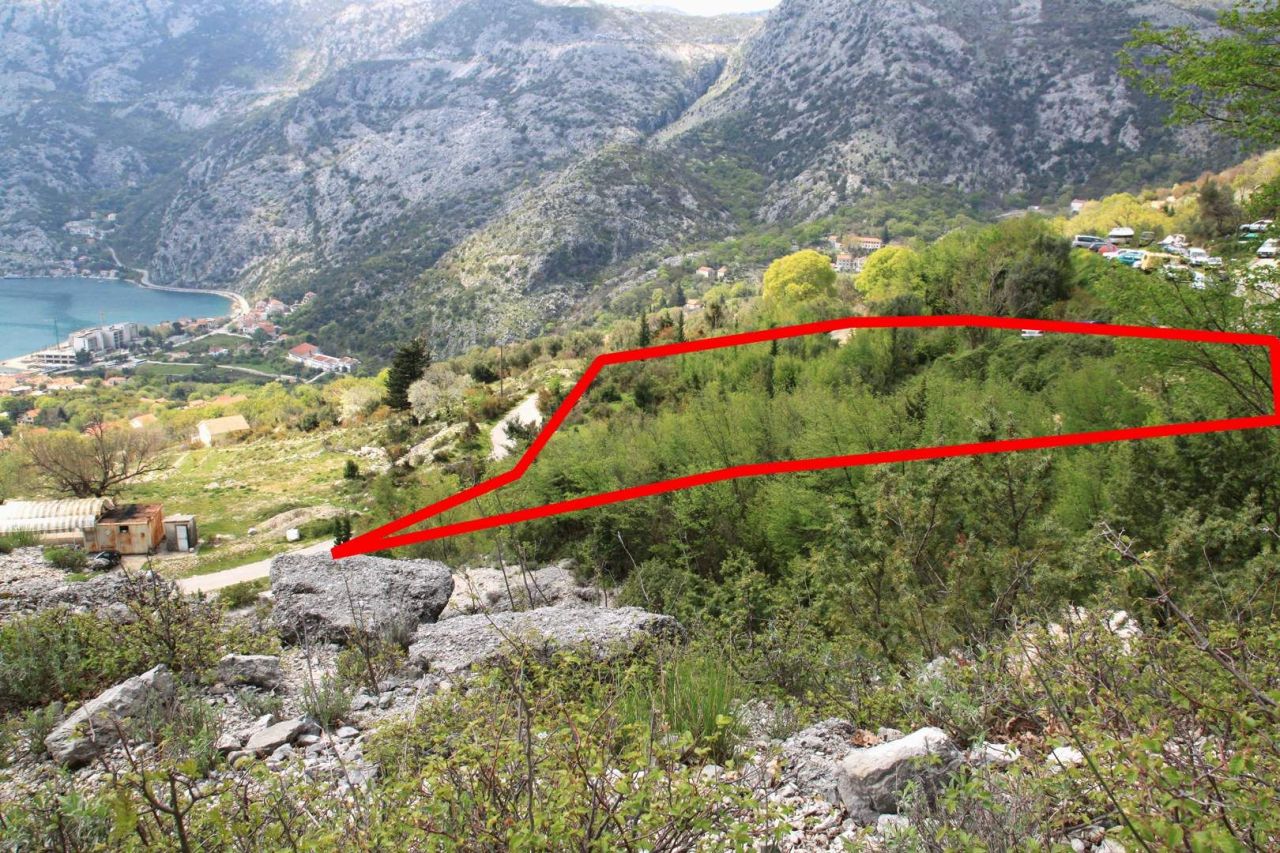 Земля в Рисане, Черногория, 42.3 сот. - фото 6