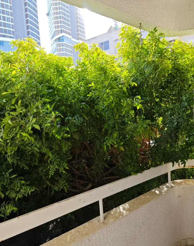 Апартаменты в Лимасоле, Кипр, 123 м² - фото 14