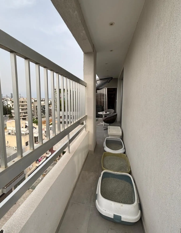 Апартаменты в Лимасоле, Кипр, 220 м² - фото 15