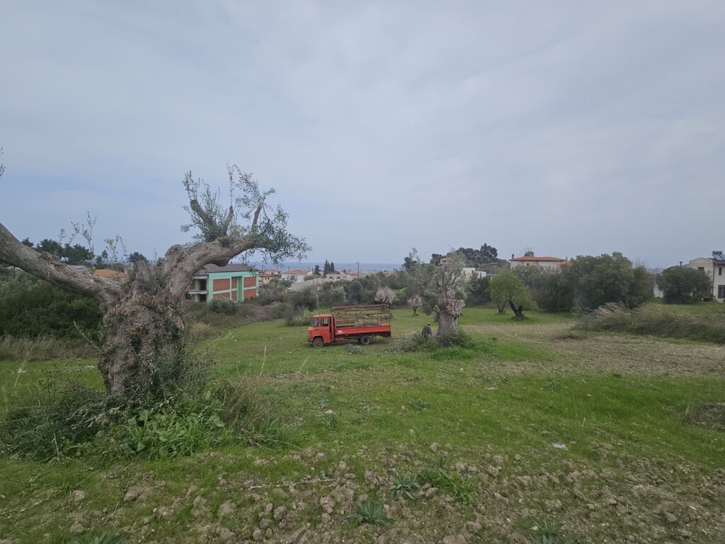 Земля на Кассандре, Греция, 1 666 м² - фото 1