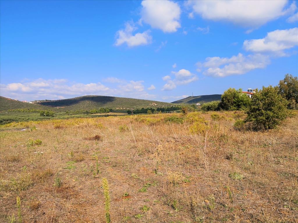 Земля в Ситонии, Греция, 30 600 м² - фото 1