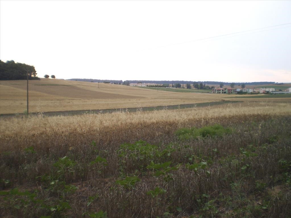 Земля на Кассандре, Греция, 4 285 м² - фото 1