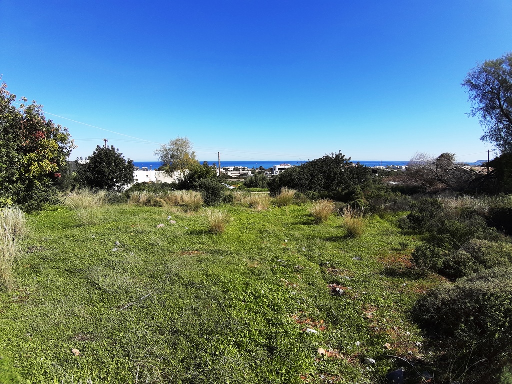Земля в Ираклионе, Греция, 14 000 м² - фото 1