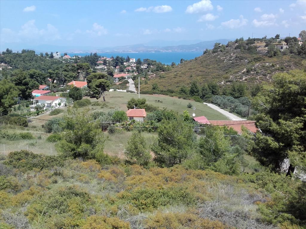 Дом в Аттике, Греция, 162 м² - фото 1
