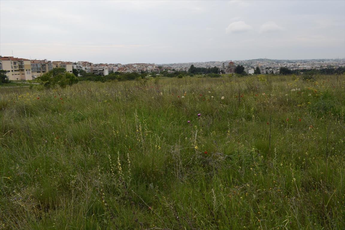 Земля в Салониках, Греция, 4 960 м² - фото 1
