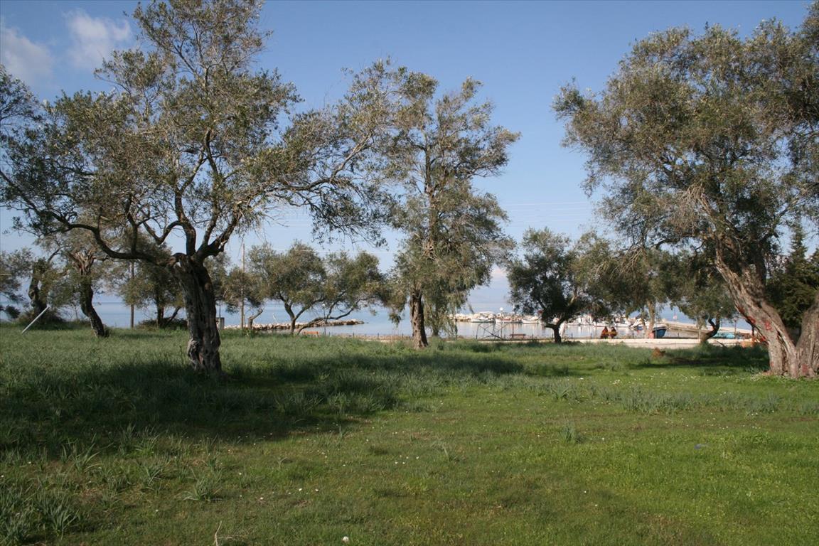 Земля на Корфу, Греция, 21 083 м² - фото 1