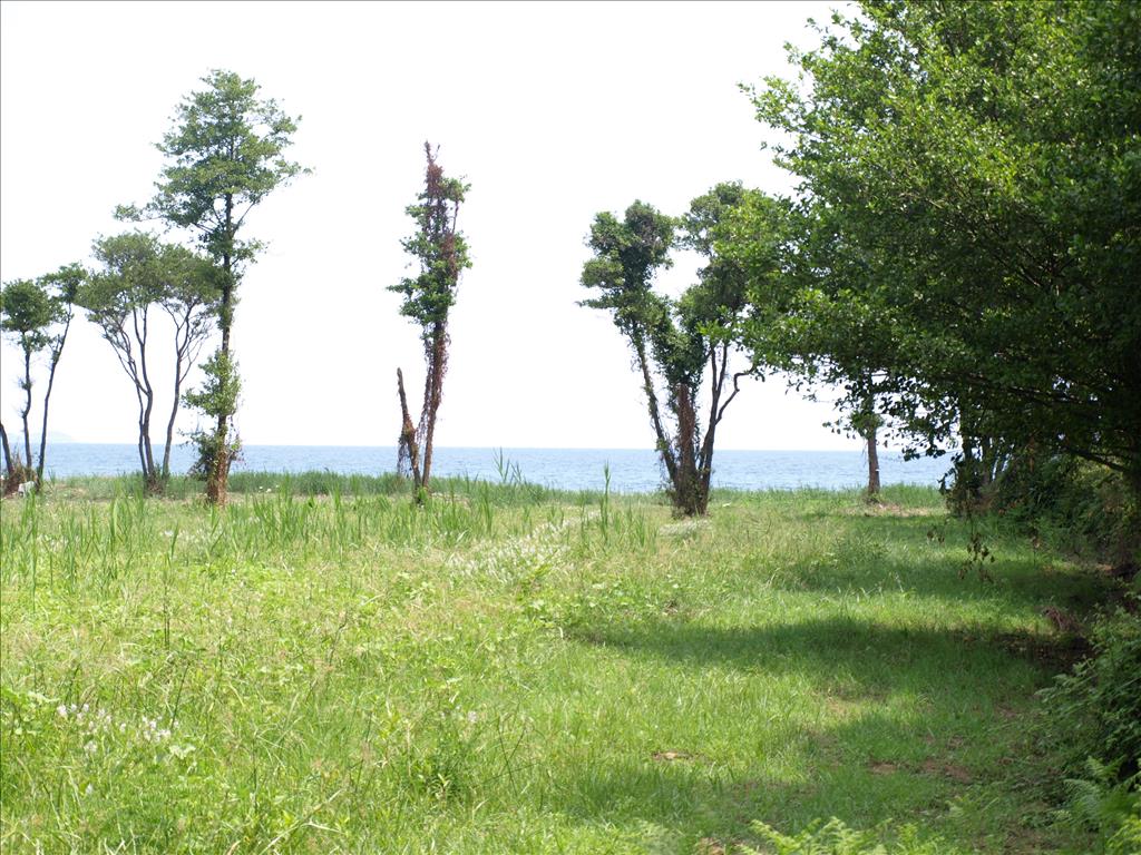 Земля на Халкидиках, Греция, 10 045 м² - фото 1