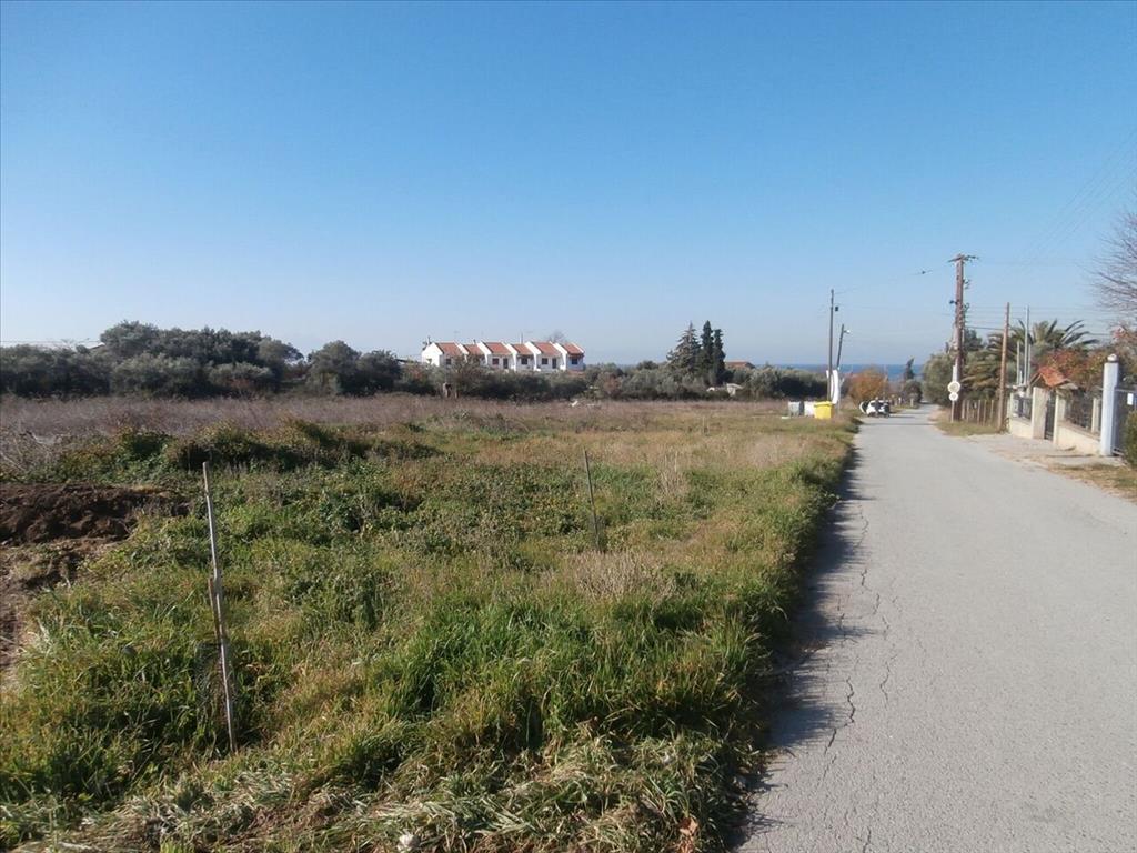 Земля на Халкидиках, Греция, 2 407 м² - фото 1