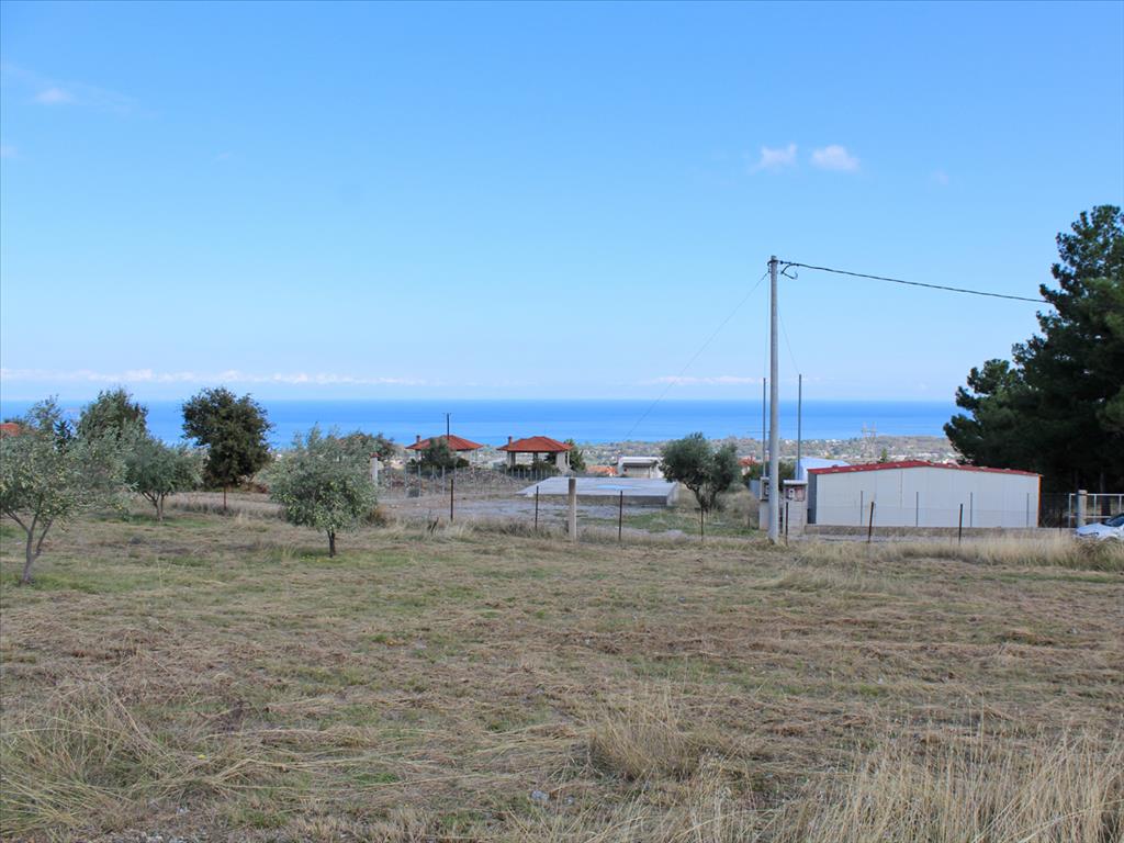 Земля в Олимпиаки-Акти, Греция, 4 750 м² - фото 1