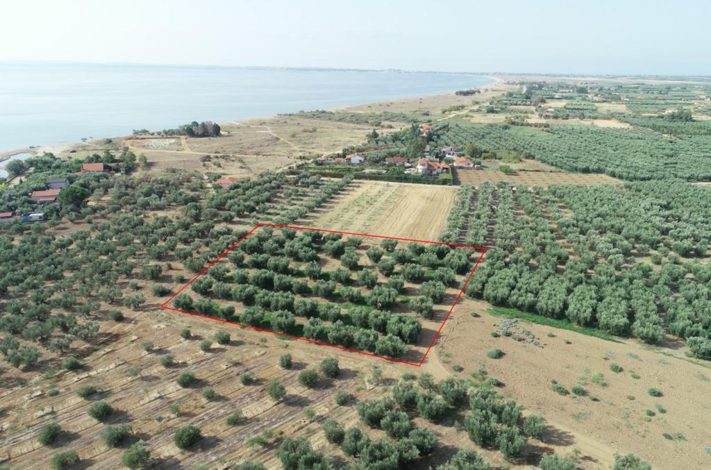 Земля на Халкидиках, Греция, 4 010 м² - фото 1