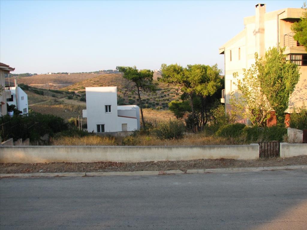Земля в Аттике, Греция, 505 м² - фото 1
