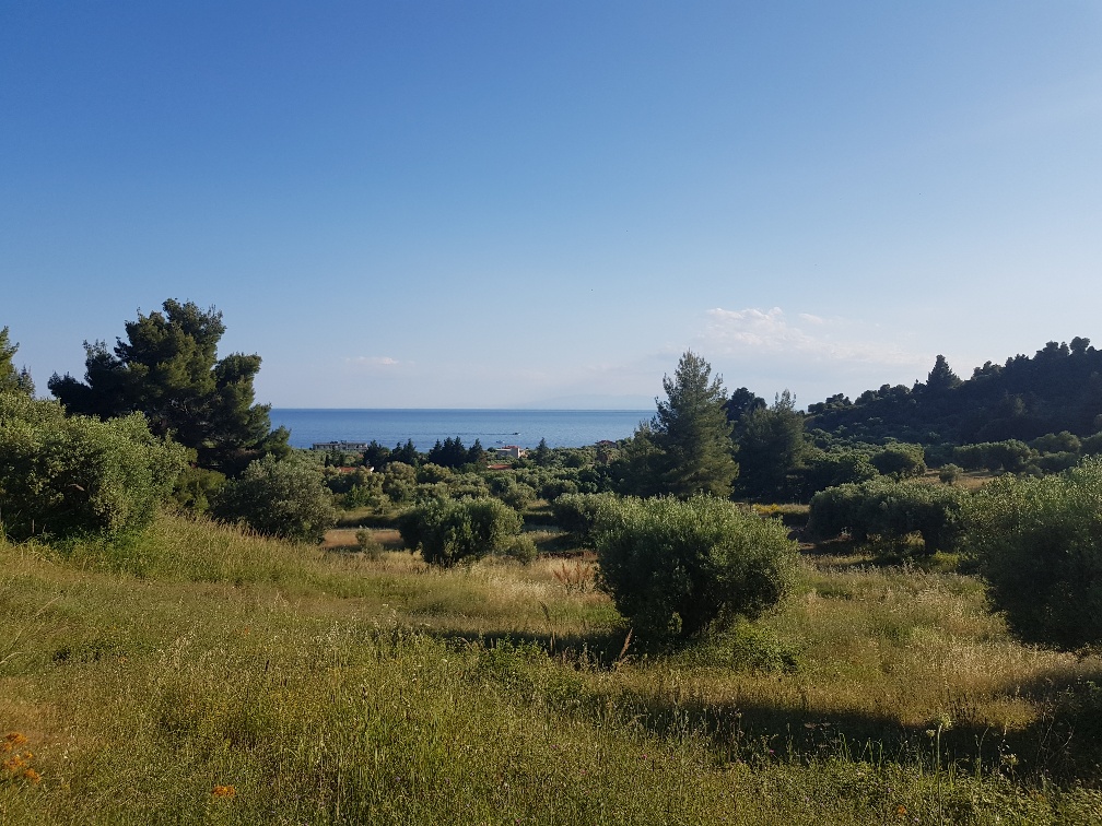 Земля на Кассандре, Греция, 4 500 м² - фото 1