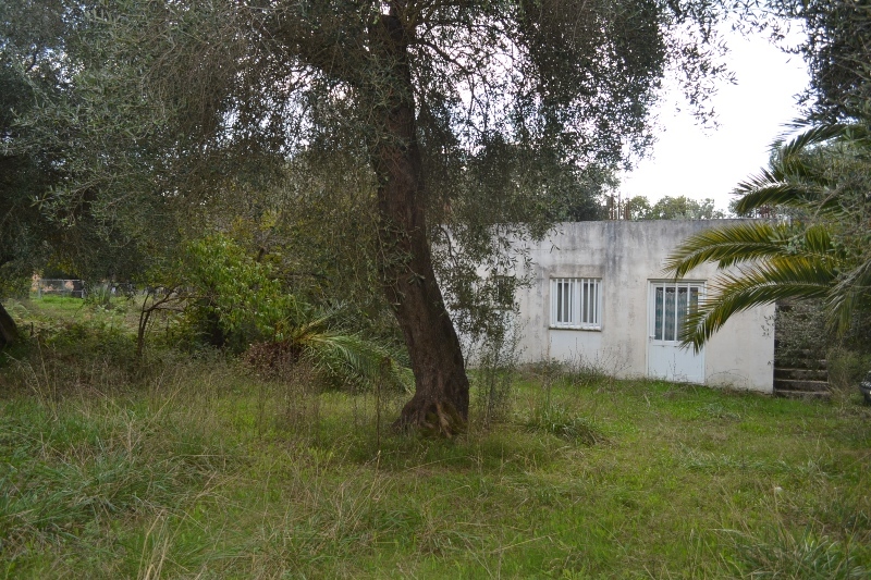 Дом на Корфу, Греция, 90 м² - фото 1