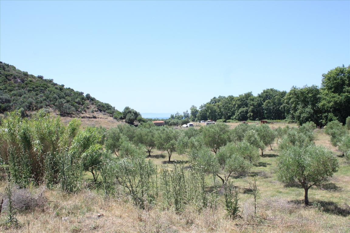 Земля в Ситонии, Греция, 8 000 м² - фото 1
