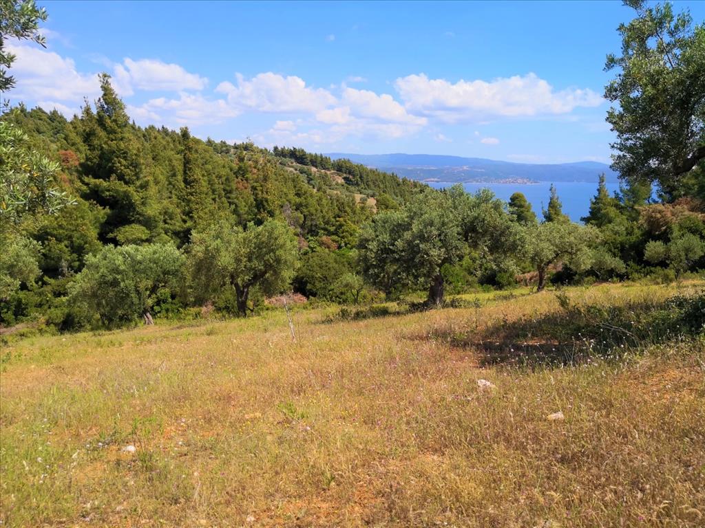 Земля в Ситонии, Греция, 5 400 м² - фото 1
