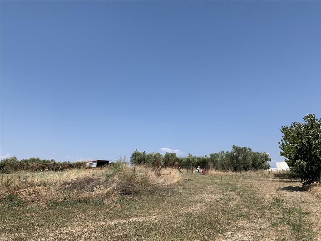 Земля в Салониках, Греция, 7 000 м² - фото 1