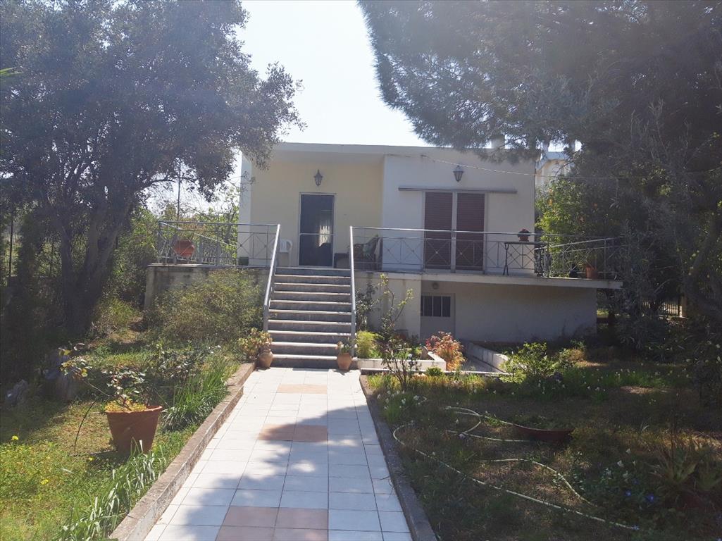 Дом в Аттике, Греция, 55 м² - фото 1
