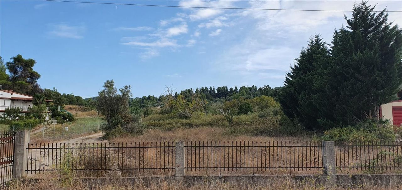 Земля на Кассандре, Греция, 6 800 м² - фото 1