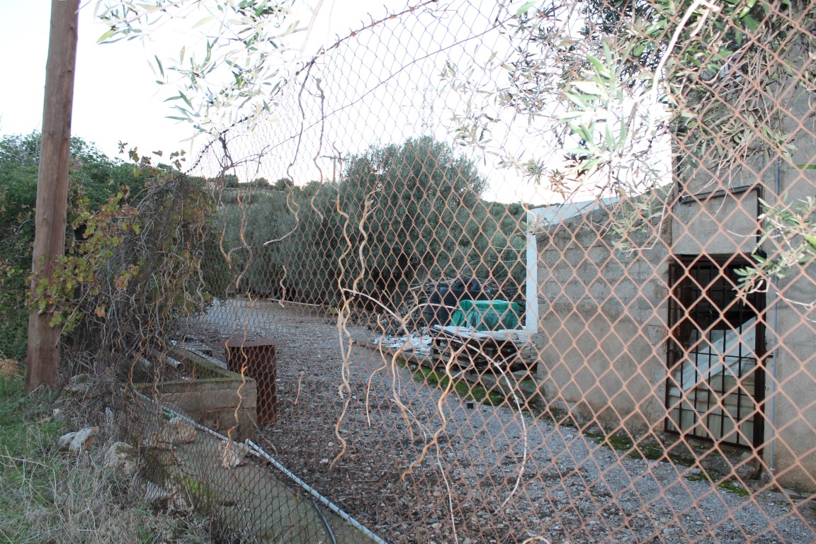 Земля в Ираклионе, Греция, 2 372 м² - фото 2