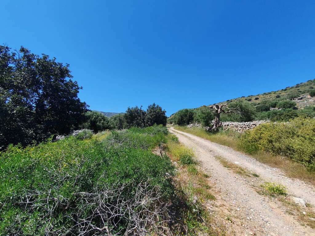 Земля в Ираклионе, Греция, 7 857 м² - фото 2