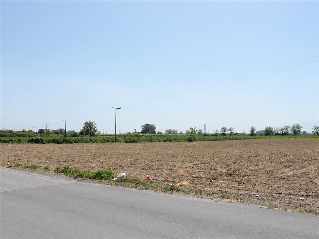 Земля в Олимпиаки-Акти, Греция, 12 000 м² - фото 2