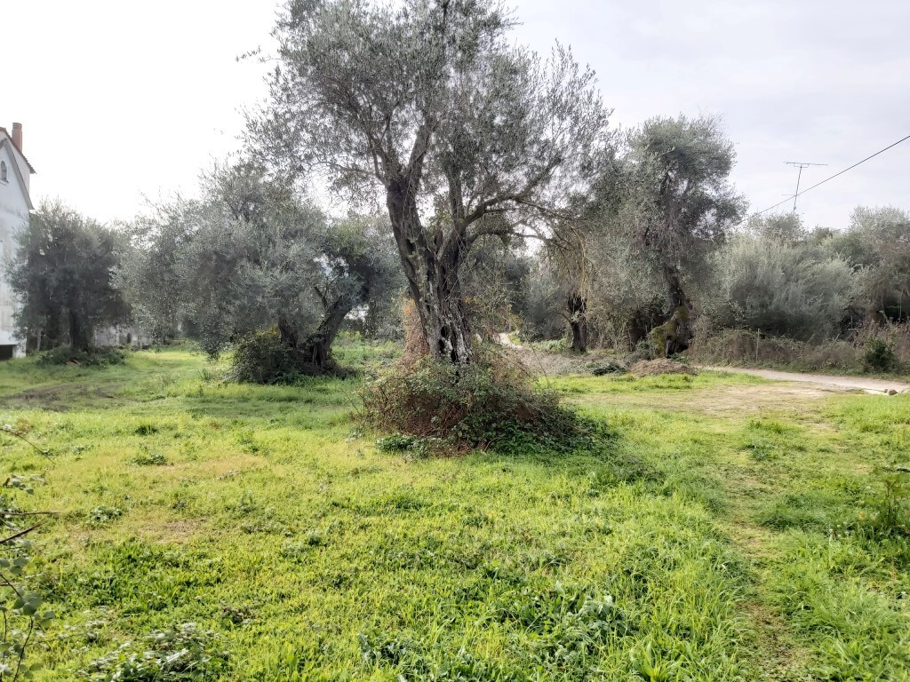 Земля на Корфу, Греция, 2 307 м² - фото 2