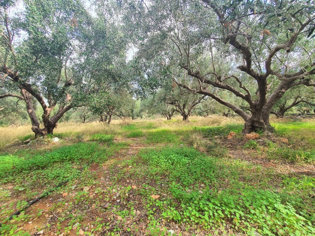 Земля в Ираклионе, Греция, 1 200 м² - фото 2