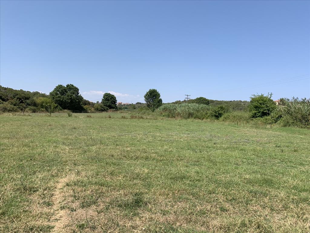 Земля на Халкидиках, Греция, 6 312 м² - фото 2