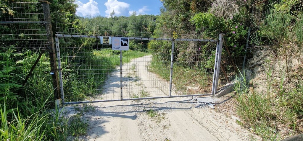 Земля на Кассандре, Греция, 10 000 м² - фото 2