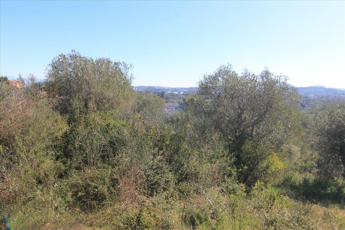 Земля на Корфу, Греция, 4 131 м² - фото 2