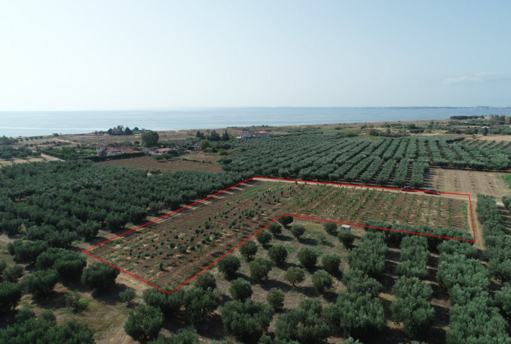 Земля на Халкидиках, Греция, 4 811 м² - фото 2