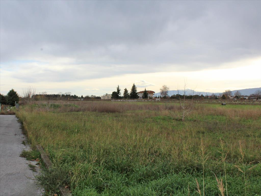 Земля в Олимпиаки-Акти, Греция, 11 111 м² - фото 2