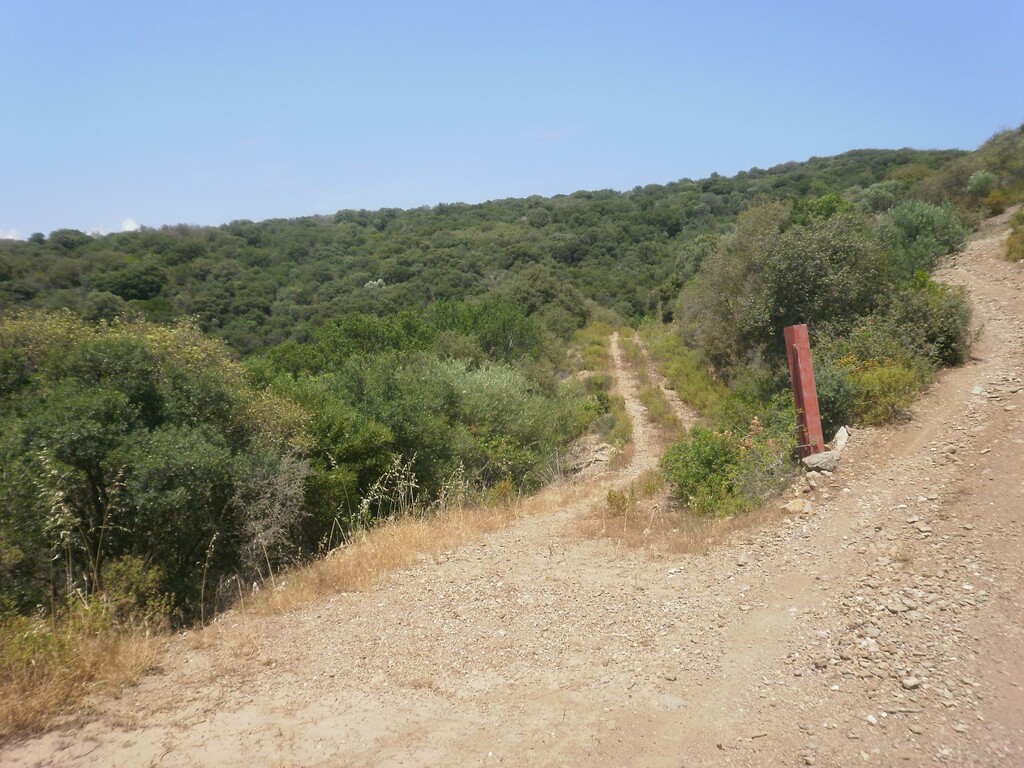 Земля на Халкидиках, Греция, 6 070 м² - фото 2