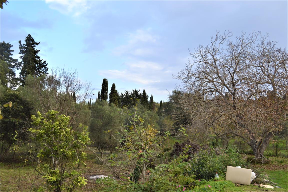 Земля на Корфу, Греция, 10 000 м² - фото 2