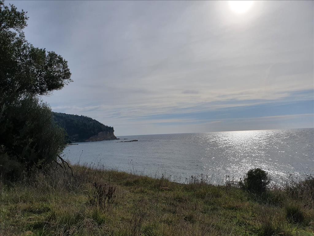 Земля на Кассандре, Греция, 10 000 м² - фото 2