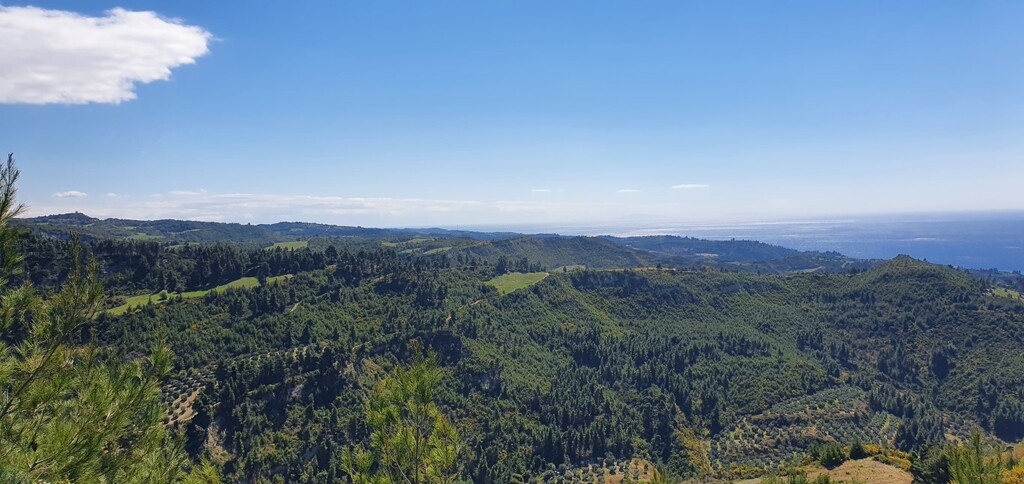 Земля на Кассандре, Греция, 12 000 м² - фото 2