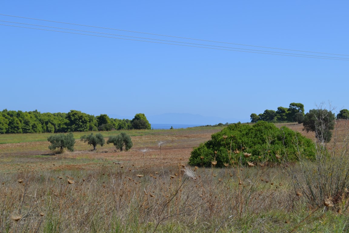 Земля на Кассандре, Греция, 4 380 м² - фото 2