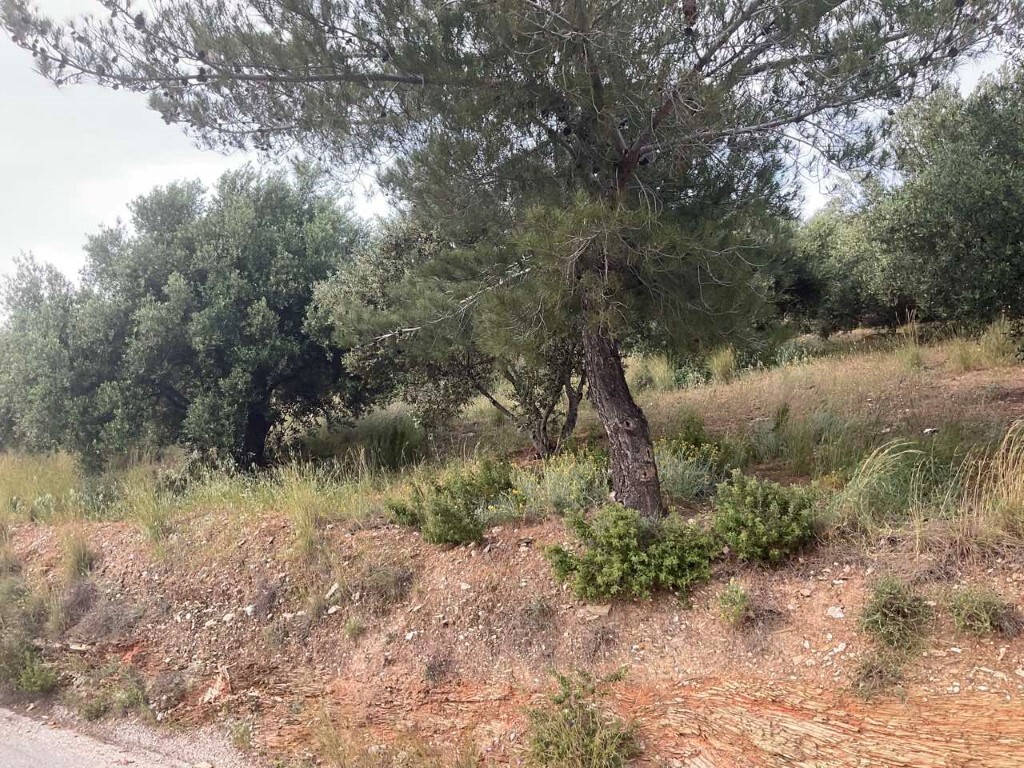 Земля в Ираклионе, Греция, 3 750 м² - фото 2