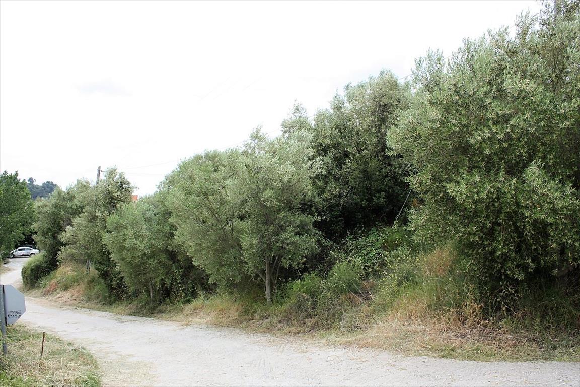 Земля в Ситонии, Греция, 6 000 м² - фото 2