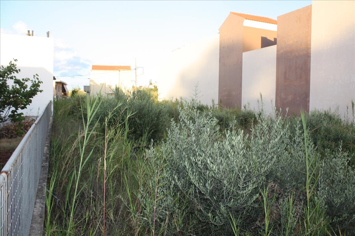 Земля в Ираклионе, Греция, 1 294 м² - фото 2