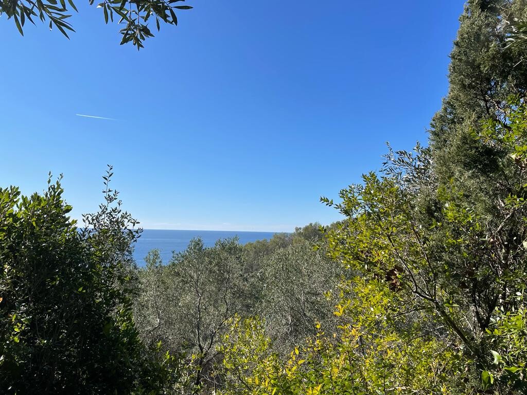 Земля на Корфу, Греция, 35 000 м² - фото 2