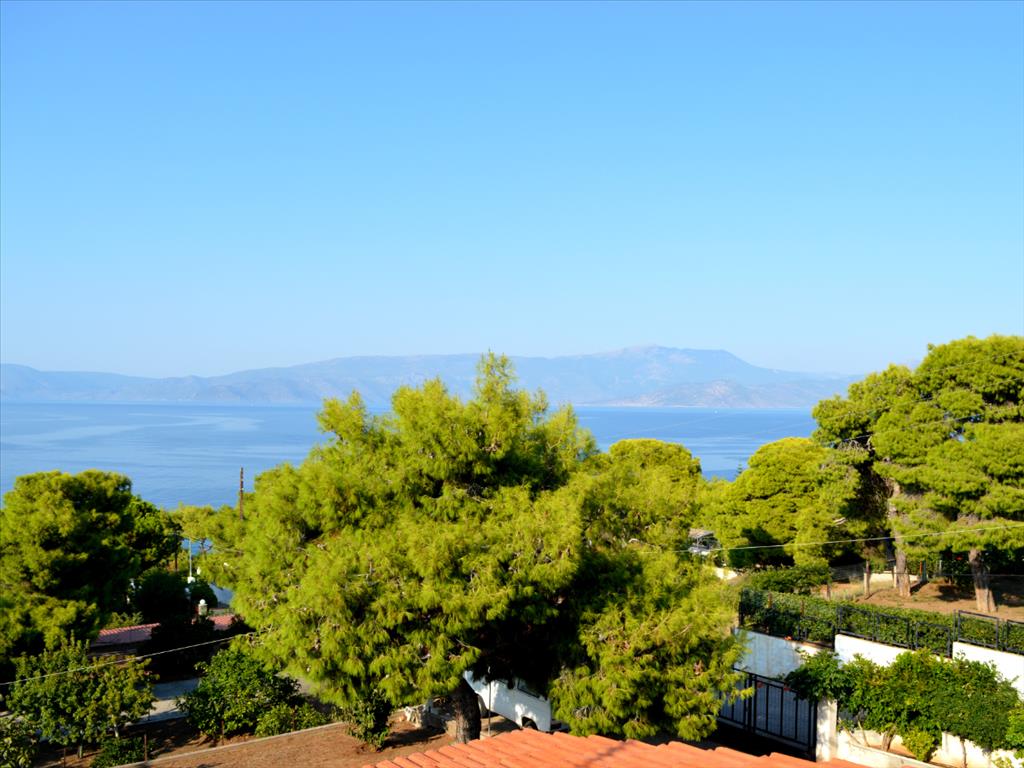 Дом в Аттике, Греция, 100 м² - фото 2